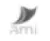 ami_footer
